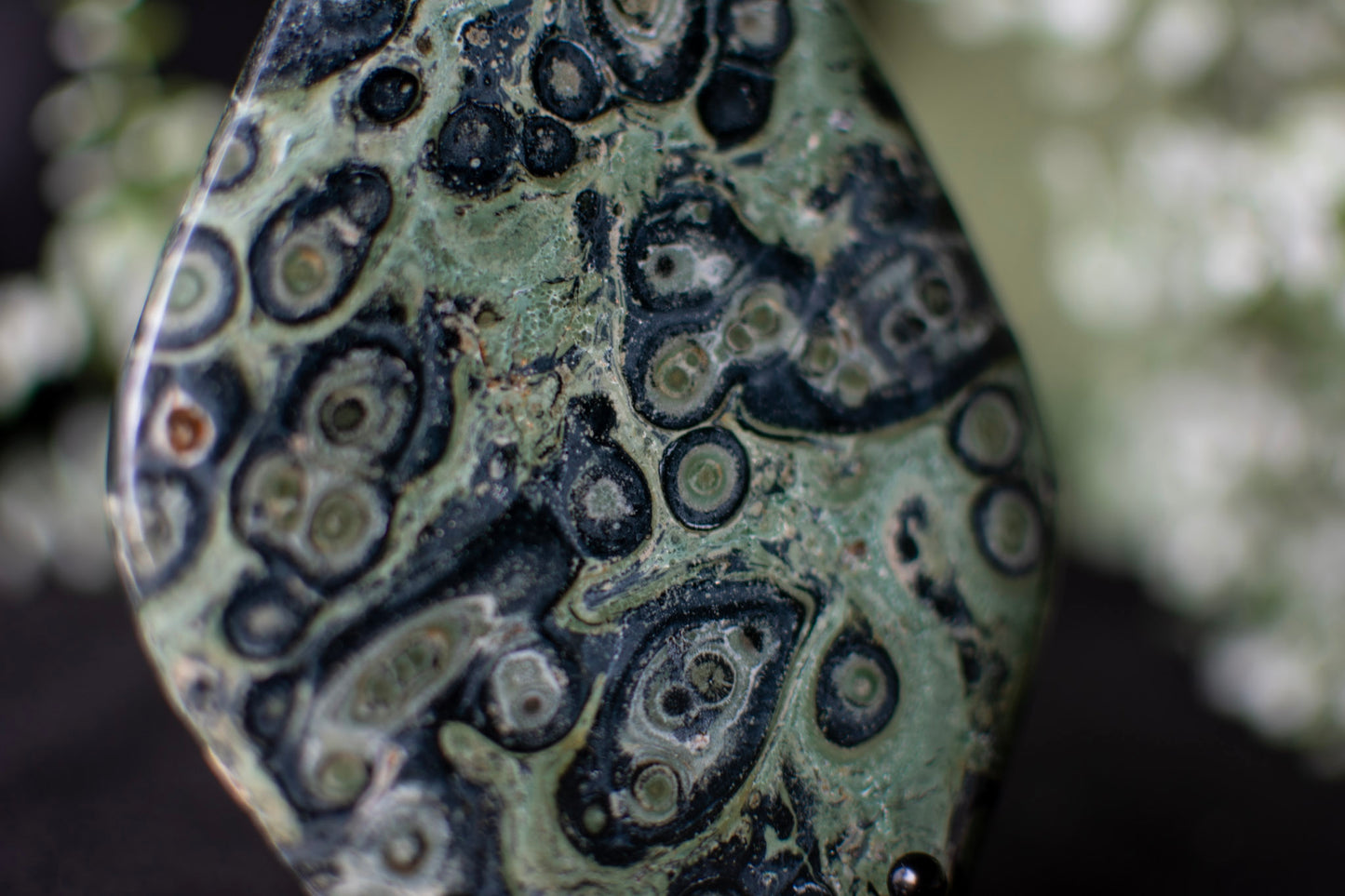 Kambaba Jasper Tear Drop
