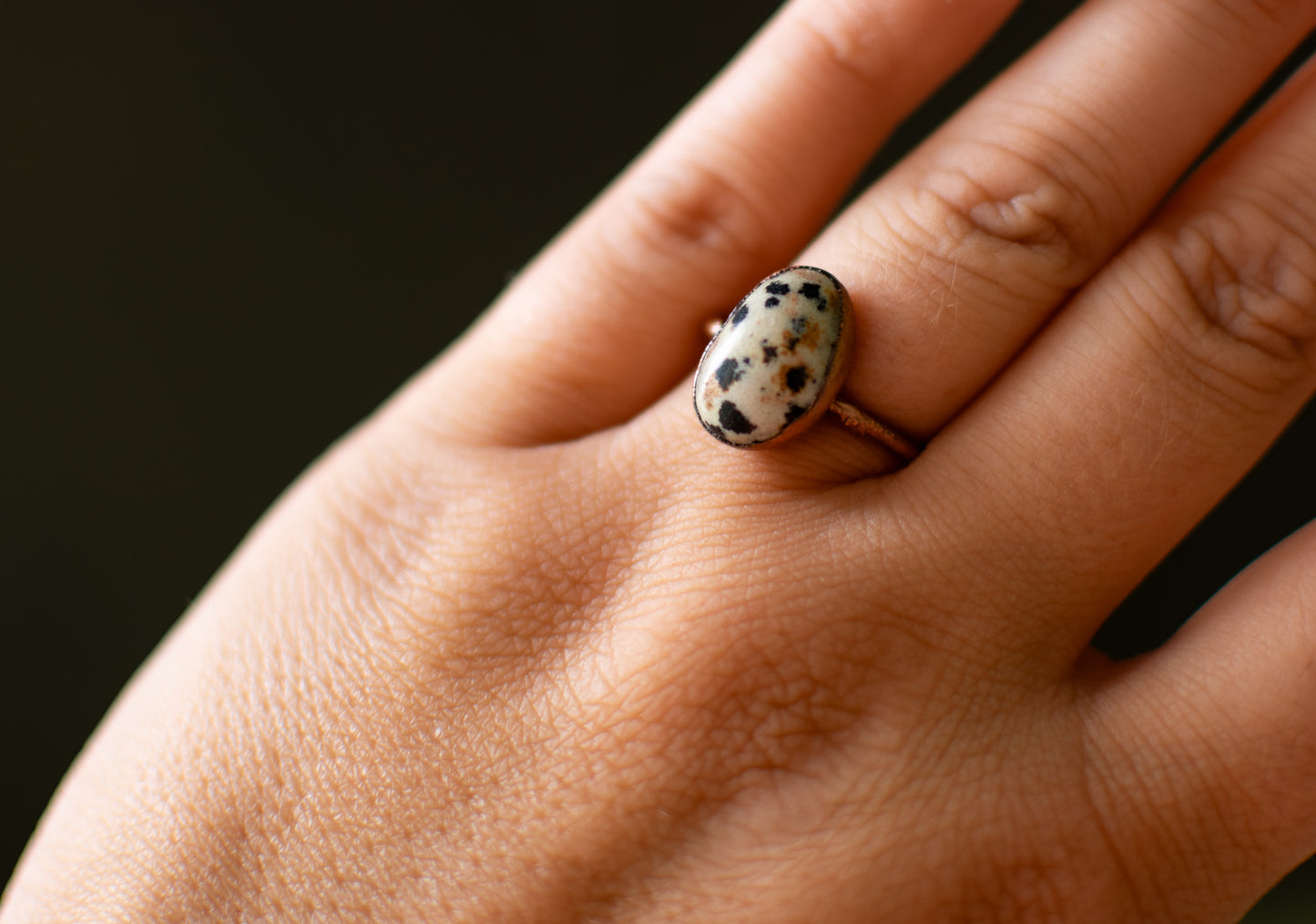 Dalmatian Jasper Size 8