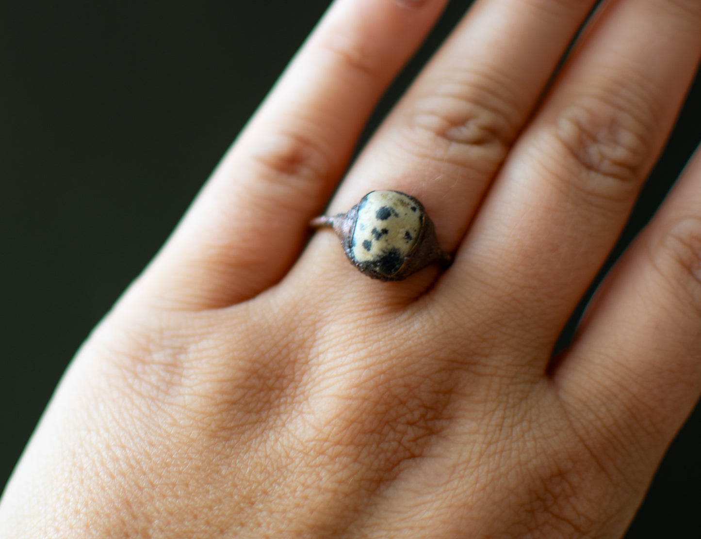 Dalmatian Jasper Size 6