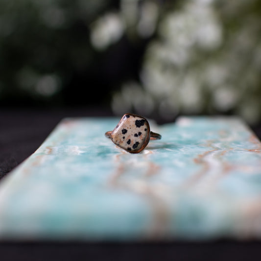 Dalmatian Jasper Size 4