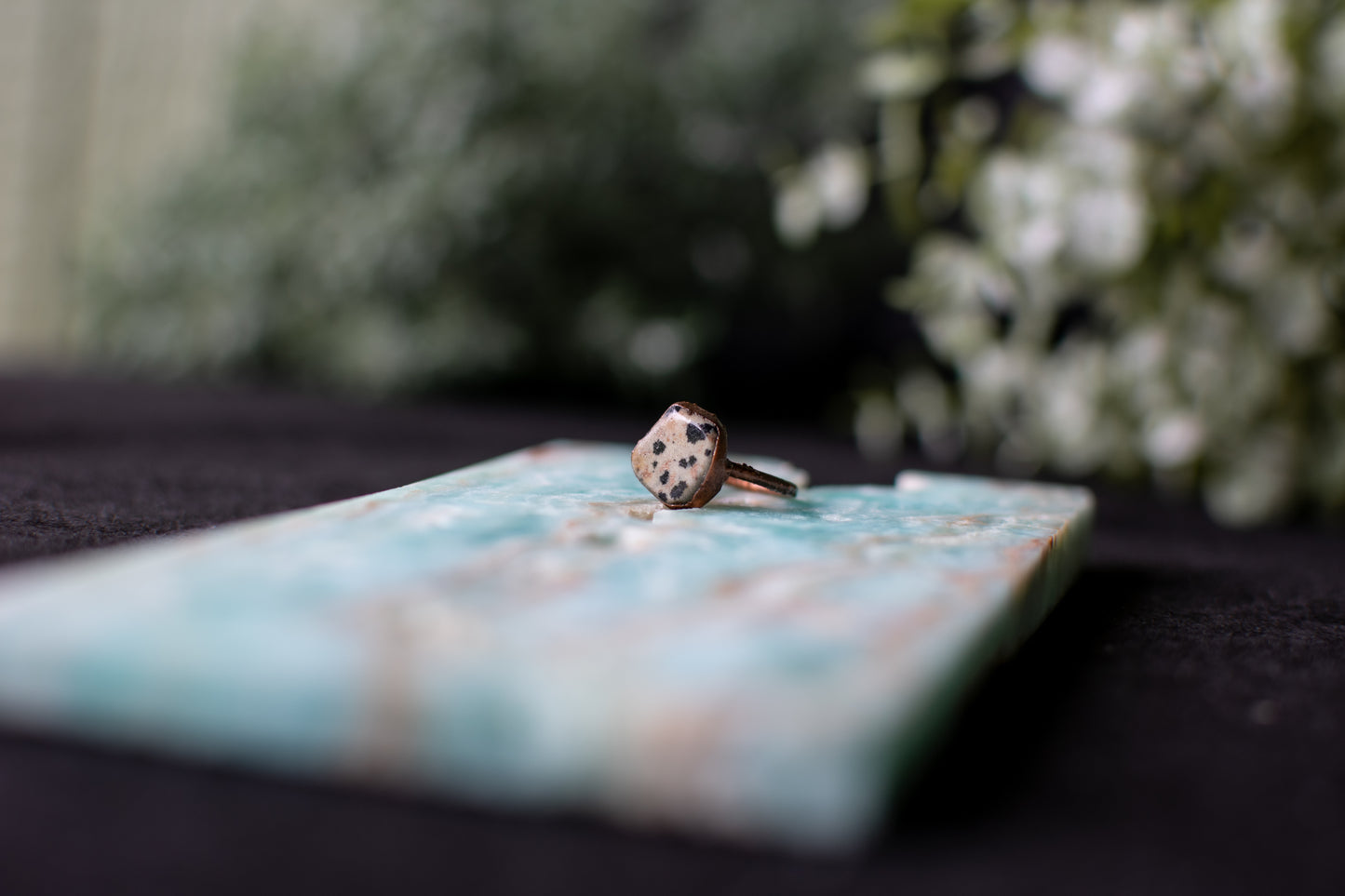 Dalmatian Jasper Size 4