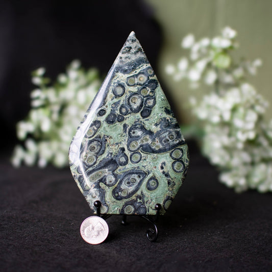 Kambaba Jasper Tear Drop